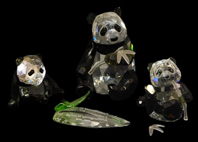 Lot 124 - A Swarovski Crystal Endangered Wildlife 2008...