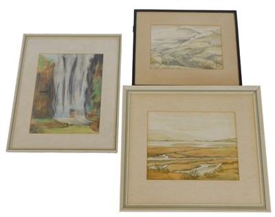 Lot 142 - 20thC School. Elands Fall, pastel, unsigned,...