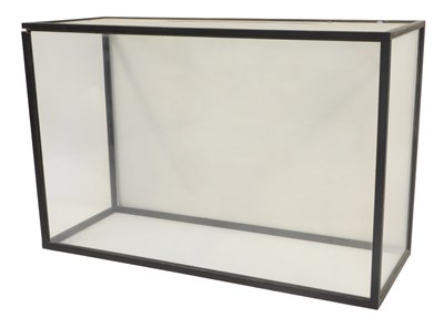 Lot 735 - A glass and ebonised model display case, 65cm...
