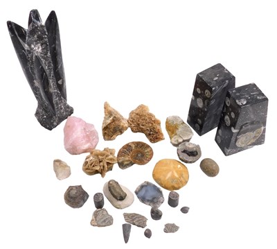 Lot 132 - A group of fossils and minerals, including an...