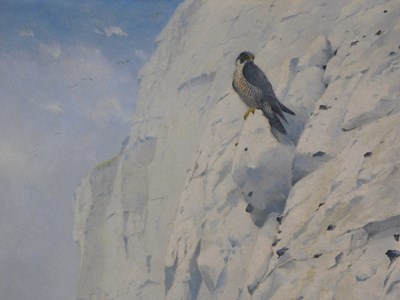 Lot 8 - George Edward Lodge (1860-1954). Peregrine...