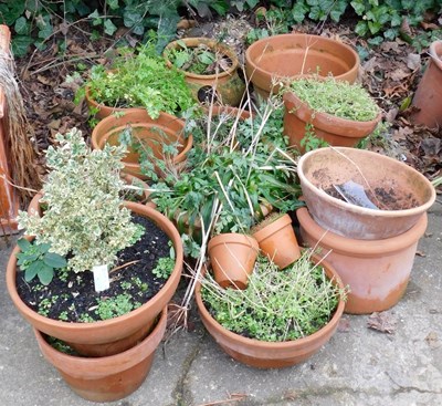 Lot 396 - A quantity of terracotta garden pots, various...