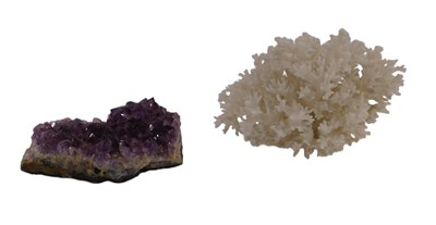 Lot 1169 - A section of coral and a section of amethyst.