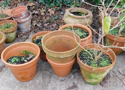 Lot 400 - A quantity of terracotta garden pots, various...