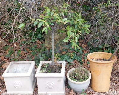 Lot 418 - A pair of square composition pots, each...