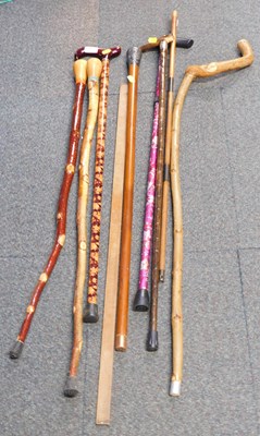 Lot 2204 - Eight walking sticks, one with a horn handle...