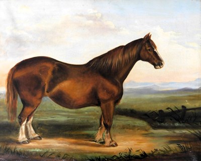 Lot 118 - 19thC British School. Horse in landscape, oil...