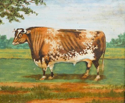 Lot 119 - 19thC British School. Short horn bull in...