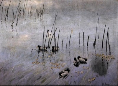 Lot 157 - George Edward Lodge (1860-1954). Mallard ducks...