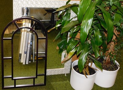 Lot 2071 - Two wall mirrors, together with two plants, in...
