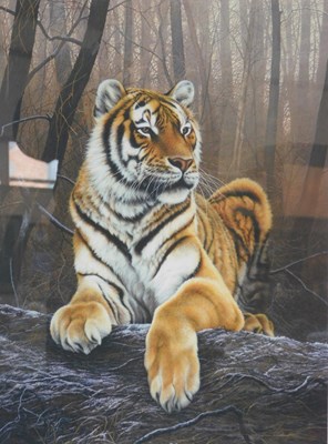Lot 259 - Paul James. Study of a tiger, signed limited...