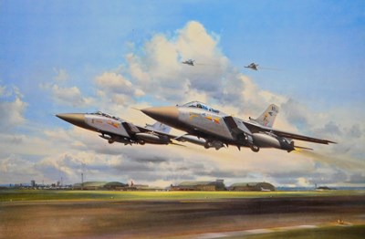 Lot 386 - Frank Wooton. Tornado F3 Aircraft of No. 229...