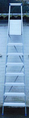 Lot 1078 - A Werner stepladder.
