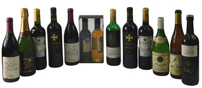 Lot 124 - A quantity of wines, to include Rioja, Cava,...