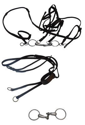 Lot 452A - A horse bridle, a bit and a leather martingale....