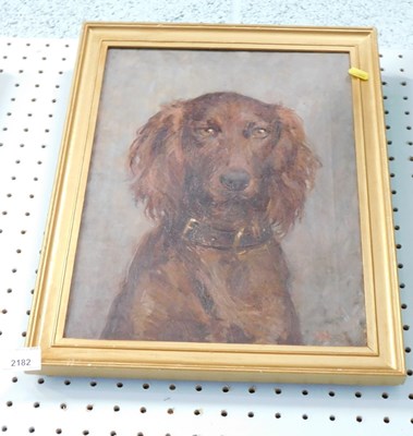 Lot 2182 - 20thC School. Study of a Spaniel, oil on...
