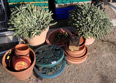 Lot 1646 - A quantity of terracotta plant pots, plant pot...