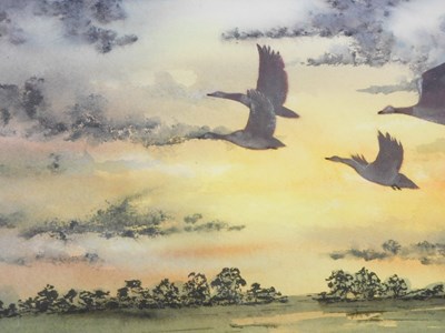Lot 861 - Ash, Canada Geese flying at...