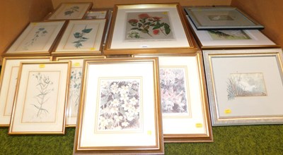 Lot 2050 - A group of botanical related prints, to...