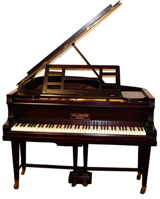 Lot 843 - An early 20thC Waldberg mahogany cased baby...