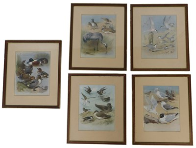 Lot 261 - After Archibald Thorburn. Five prints,...