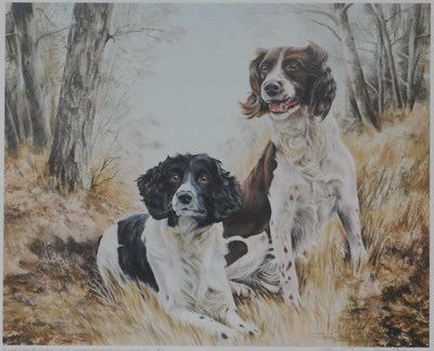 Lot 270 - Josephine Copley. Study of two Springer...