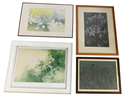Lot 278 - 20thC School. Various botanical related works,...