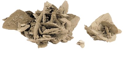 Lot 697 - Two fossilised desert rose specimens, 61cm...