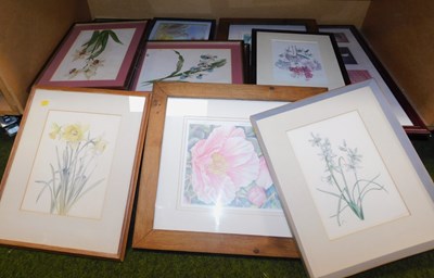 Lot 2069 - Various botanical watercolours, to include...