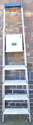 Lot 1031 - A Hailo Hobby Step 8925 ladder.