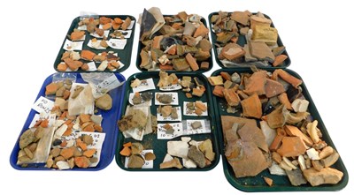 Lot 756 - A quantity of archaeological fragments and...