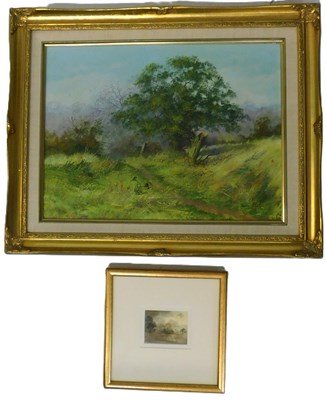 Lot 255 - Kevin March (b.1961). Woodland scene, oil on...