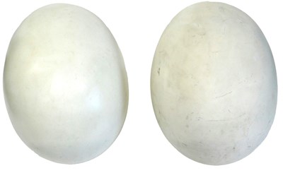 Lot 513 - Philippe Starck (b.1949). Eggs, Sanderson...