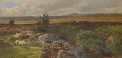 Lot 96 - William Snell Morrish (1844-1917). Sheep in...