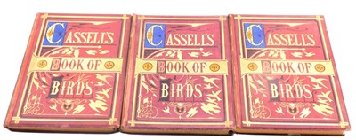 Lot 641 - Rymer Jones (Thomas). Cassell's Book of Birds,...