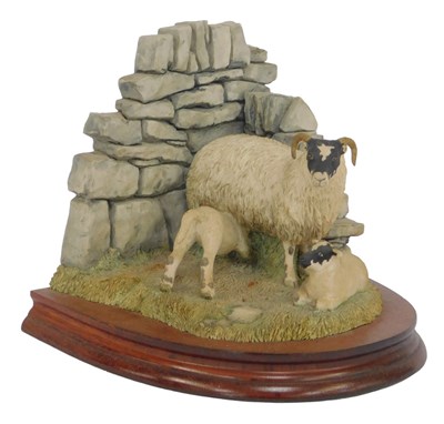 Lot 361 - A Border Fine Arts bookend, modelled as a ewe...