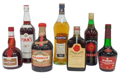 Lot 496 - Bottles of alcohol, including Martini Bianco,...
