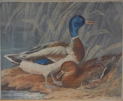 Lot 609 - Charles Turner ARA (1773-1857) After James...