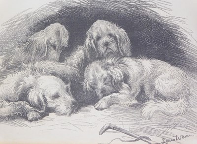 Lot 495 - P Naumann after Louis Wain. Terriers,...