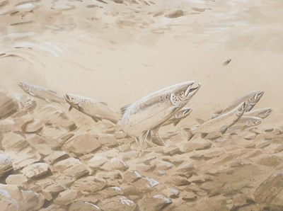 Lot 87 - Simon Trinder (British b1958). Salmon,...
