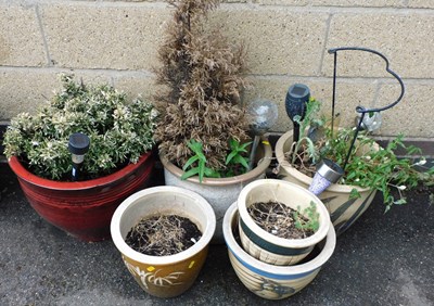 Lot 1155 - A group of garden plant pots, some containing...