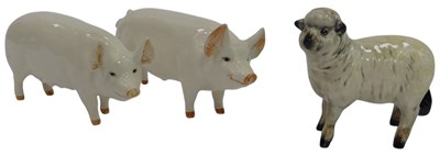 Lot 376 - Two Beswick pottery Wessex Saddleback pigs,...