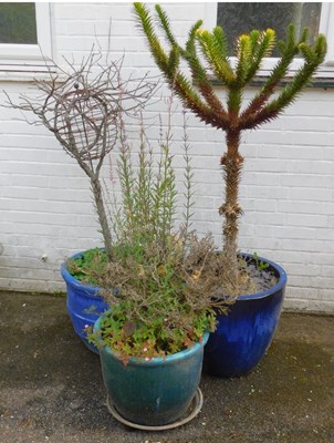Lot 660 - A group of garden planters, comprising two...