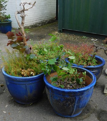 Lot 661 - A group of garden pots, comprising two pairs...