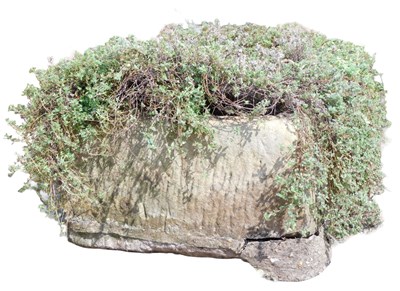 Lot 289 - A rectangular sandstone trough or...
