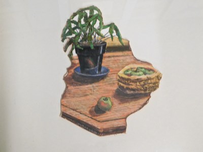 Lot 82 - Caroline White (b.1952). Plant and apple still...