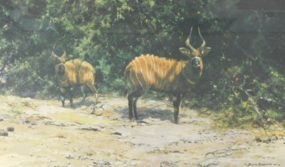 Lot 544 - David Shepherd (1931-2017). African Afternoon,...