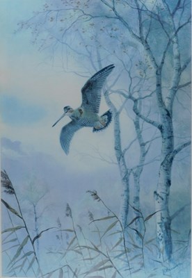 Lot 151 - John Cyril Harrison (1898-1985). Woodcock,...