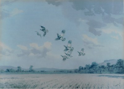 Lot 152 - John Cyril Harrison (1898-1985). Birds in...