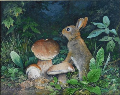 Lot 172 - John Caesar Smith (1930-2021). Rabbit in...